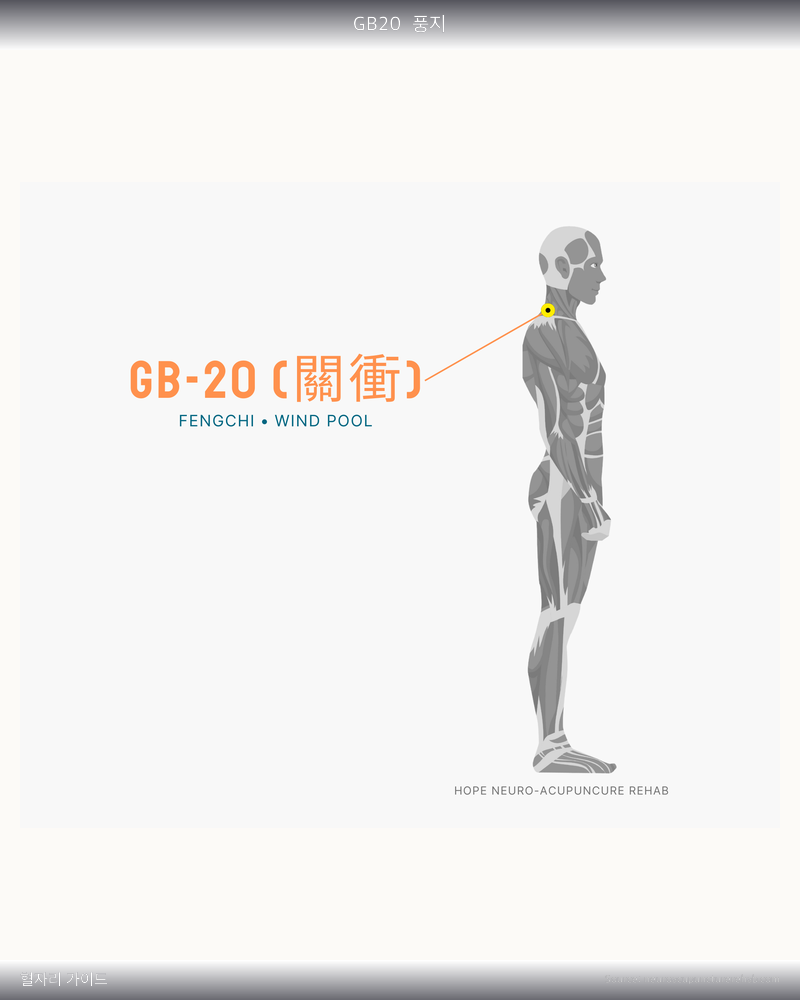 GB20 혈자리 위치 그림