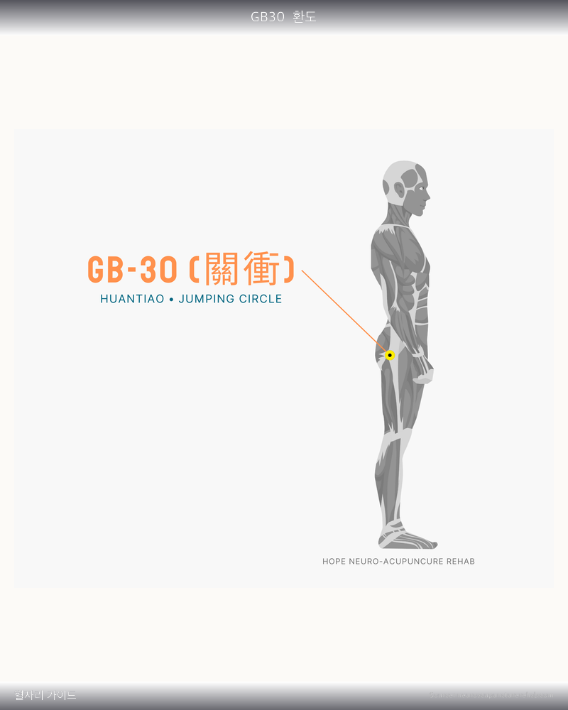 GB30 혈자리 위치 그림