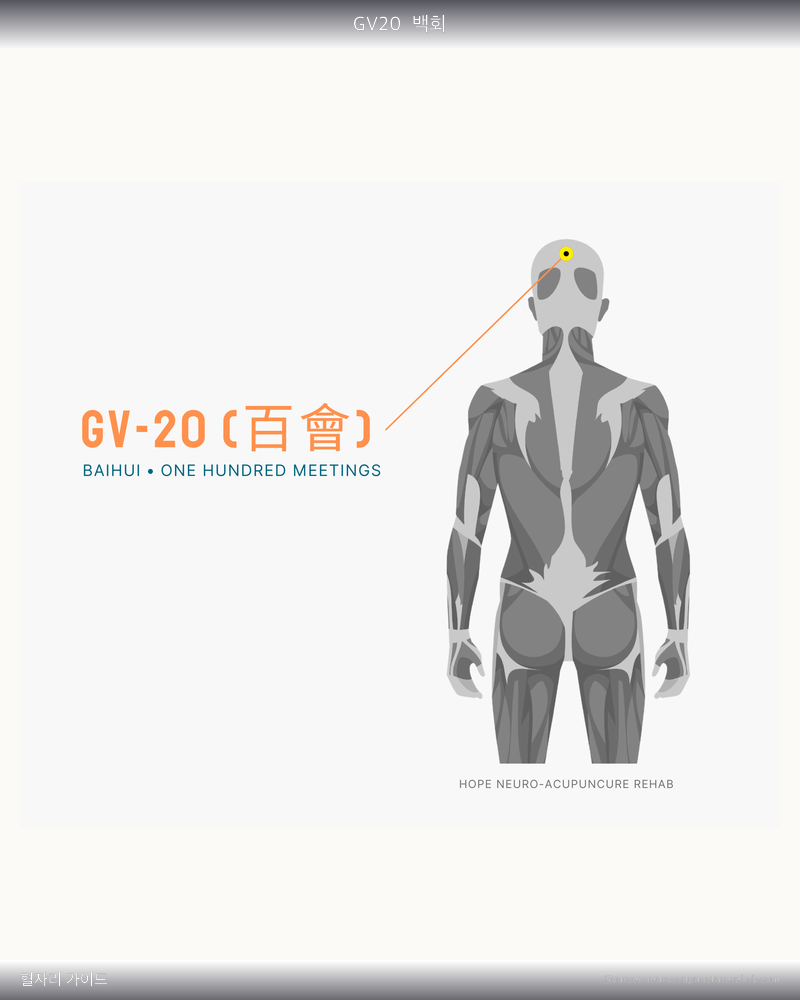 GV20 혈자리 위치 그림