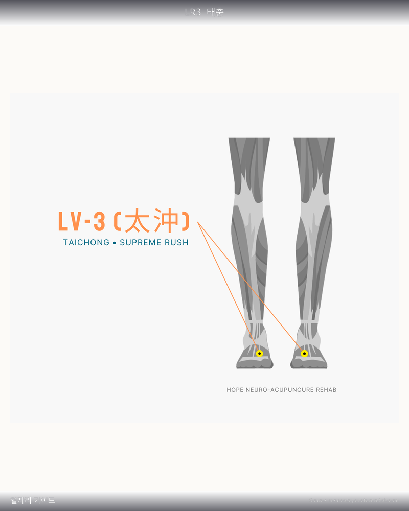 LR3 혈자리 위치 그림
