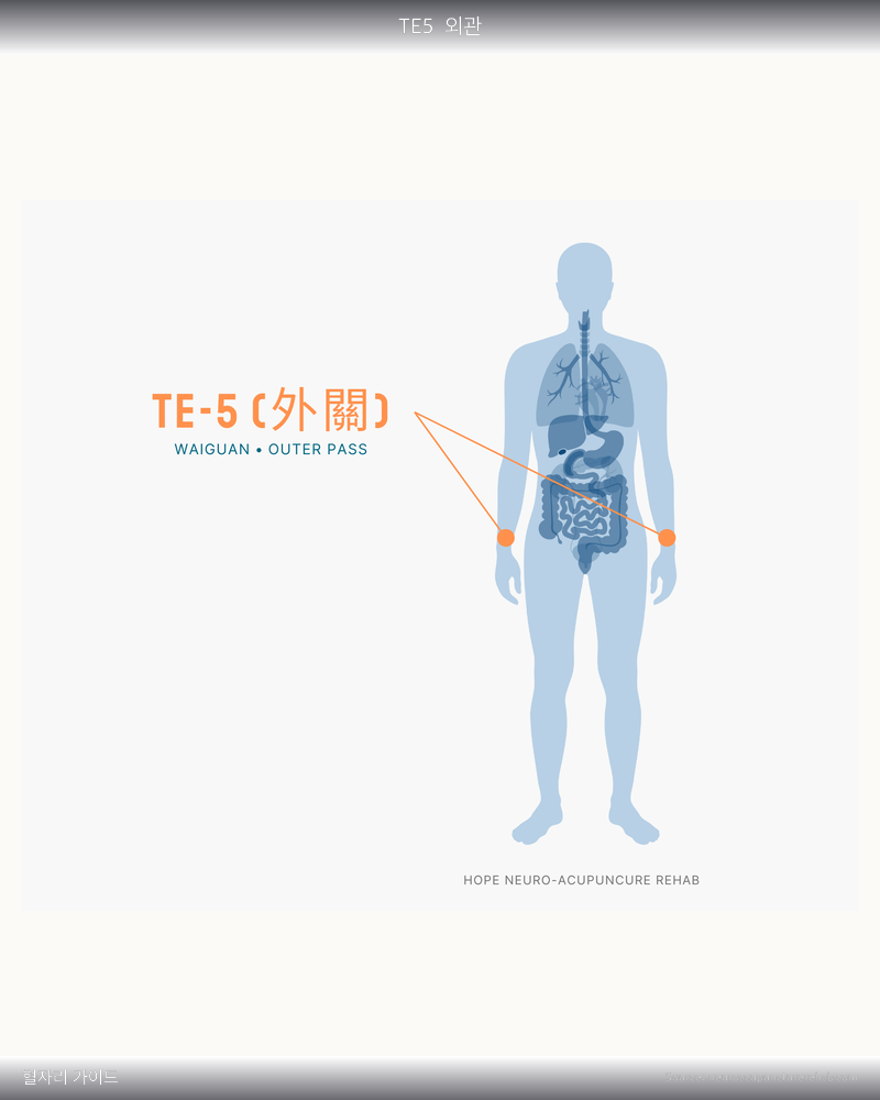 TE5 혈자리 위치 그림