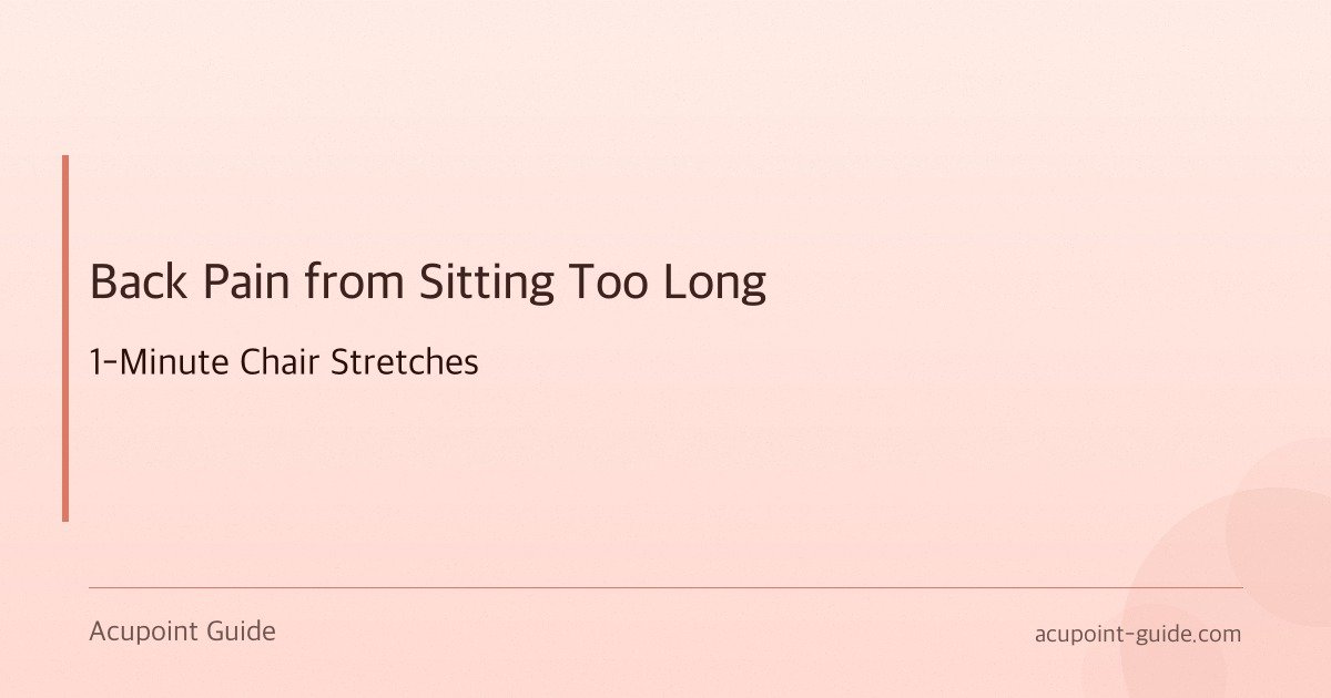 Back Pain from Sitting Too Long — 1-Minute Chair Stretches