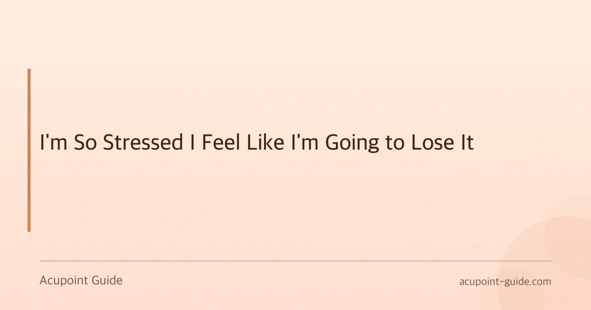 I’m So Stressed I Feel Like I’m Going to Lose It